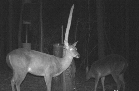 紅外夜視儀，黑夜中明亮的“眼睛”