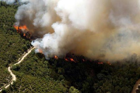 雙光譜紅外熱成像技術(shù)在森林防火