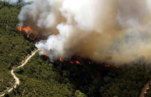 雙光譜紅外熱成像技術(shù)在森林防火