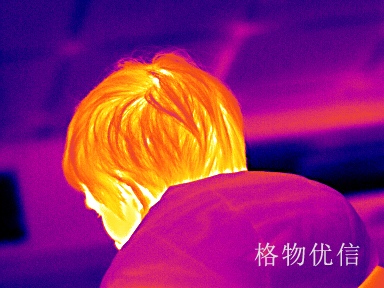 紅外熱像儀價(jià)格購買攻略