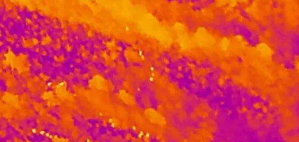 紅外熱像儀生物質(zhì)發(fā)電廠的應(yīng)用