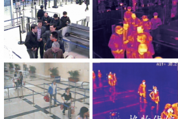 紅外熱像儀用于檢驗檢疫-4