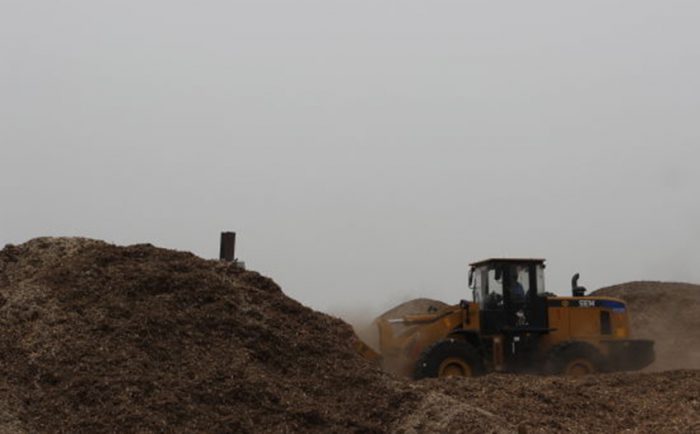 生物質(zhì)能發(fā)電廢料堆