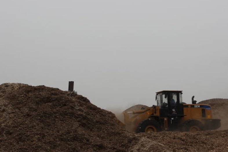 生物質(zhì)能發(fā)電廢料堆