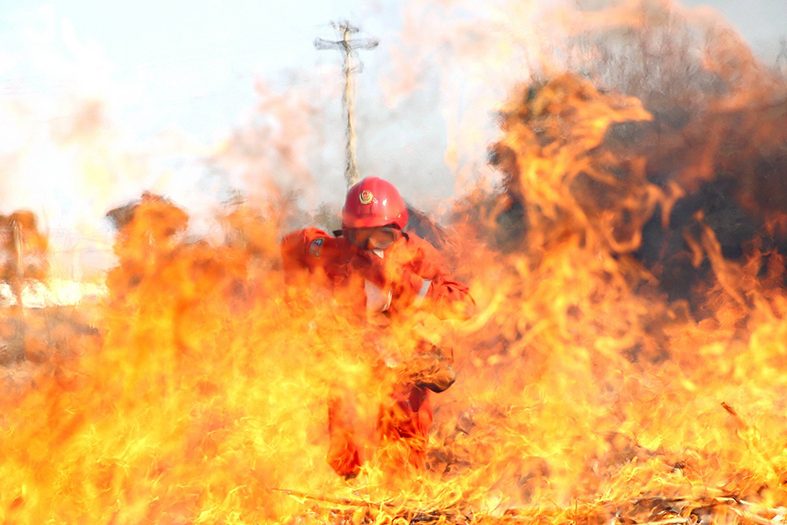 森林火災(zāi)救火
