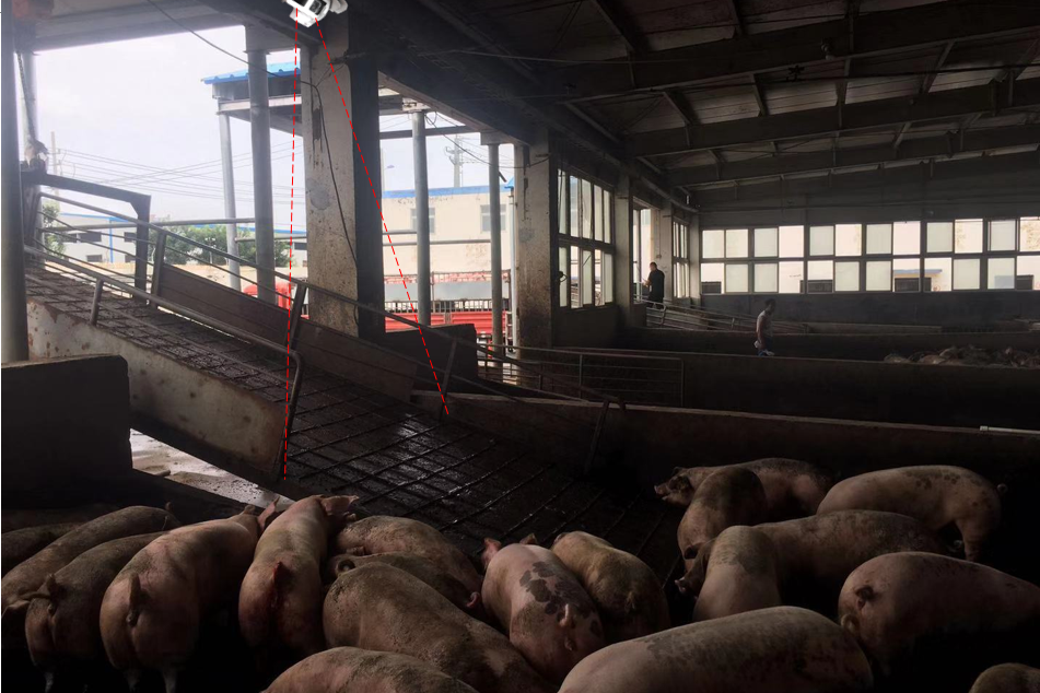 豬場入口處設(shè)備安裝示意圖