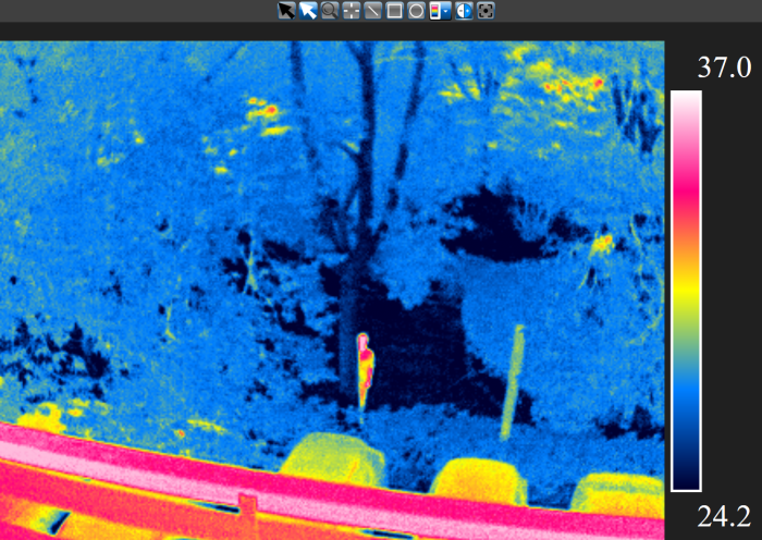 紅外熱像儀能夠精準(zhǔn)識(shí)別人體具體位置