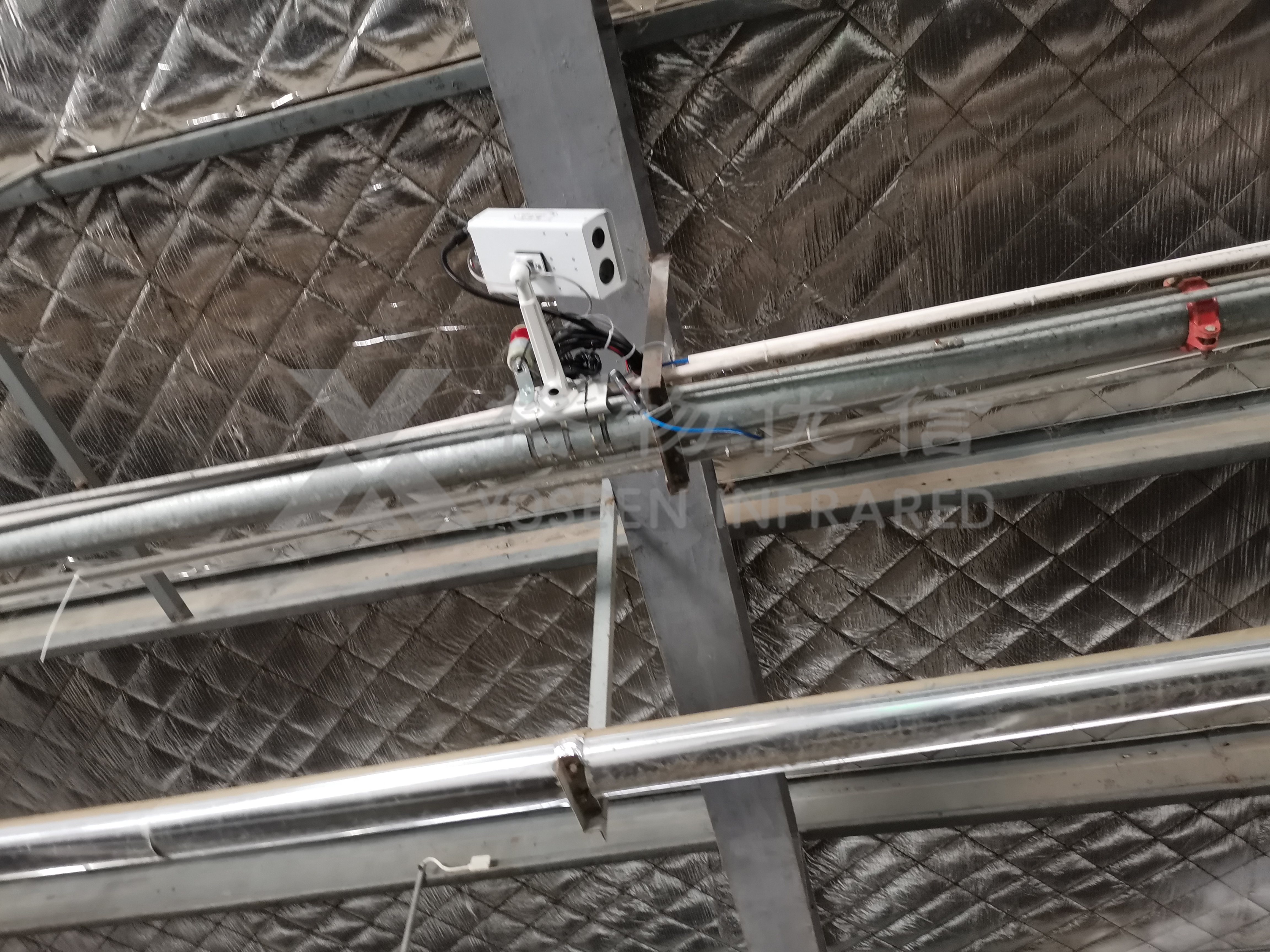 AI養(yǎng)豬難落地？熱成像讓科學(xué)養(yǎng)豬觸手可及！