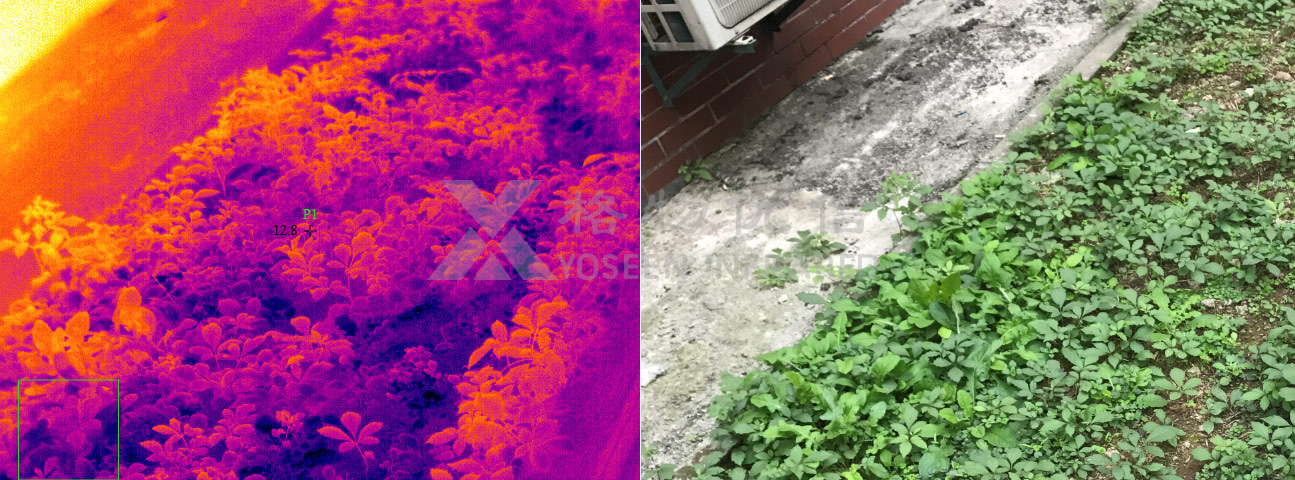 紅外熱成像儀用于農(nóng)作物病害監(jiān)測(cè)