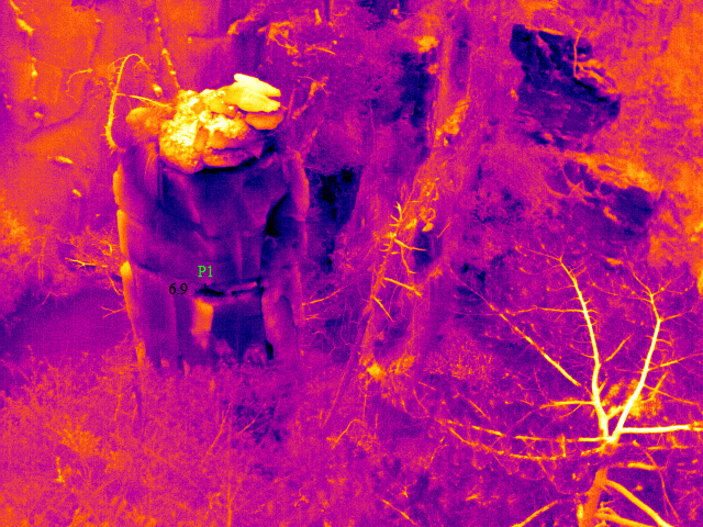 無(wú)人機(jī)搭載熱像儀拍攝效果