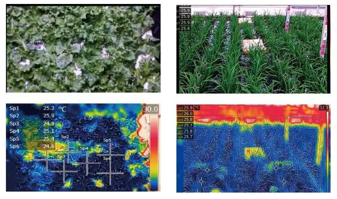 紅外技術(shù)在智慧農(nóng)業(yè)上的應(yīng)用