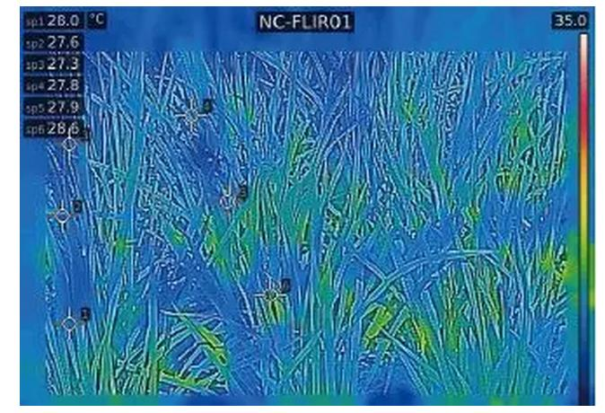 紅外技術(shù)在智慧農(nóng)業(yè)上的應(yīng)用